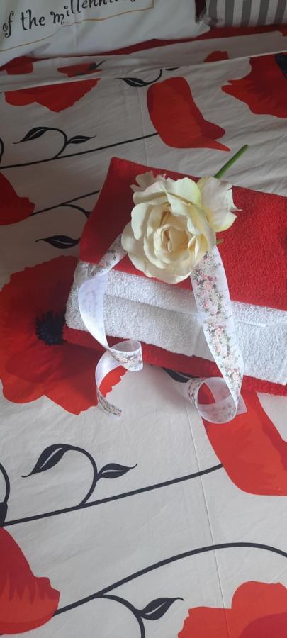 Penzion-Apartman U Johana Moravská Třebová Extérieur photo