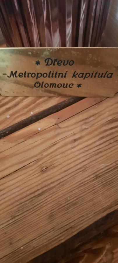 Penzion-Apartman U Johana Moravská Třebová Extérieur photo